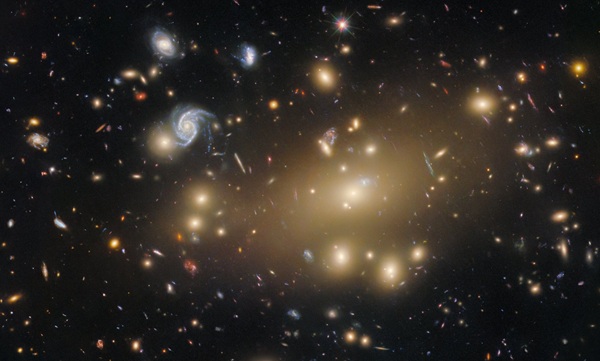 Could Abell 209’s Gravitational Lenses Unmask Dark Matter?